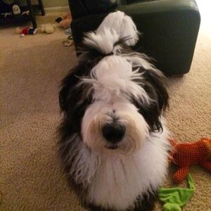 Meet your Posher, Kelly